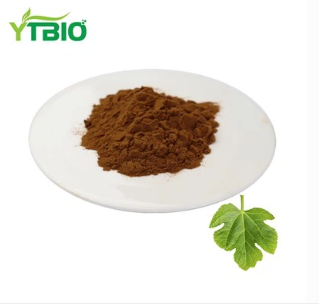 Mulberry Leaf Extract Powder